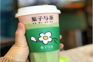 加盟葉子與茶需多少費用？冰淇淋加盟機遇解析