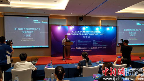 廈門軟件業領跑全省，技術服務成新引擎