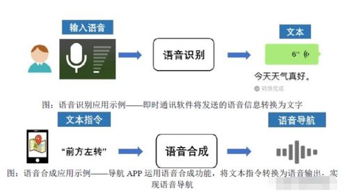深耕人工智能上游，語(yǔ)音數(shù)據(jù)龍頭引領(lǐng)產(chǎn)業(yè)生態(tài)發(fā)展